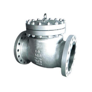 Axial Check Valve